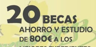 Becas Espiga