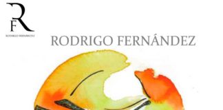 llamando a tierra rodrigo fernandez