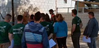 Programa Juventas de la Diputación de Cáceres