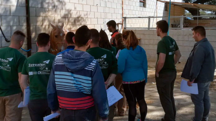 Programa Juventas de la Diputación de Cáceres