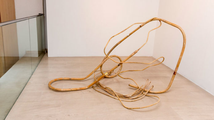 Premio Obra Abierta. Fundación Caja de Extremadura