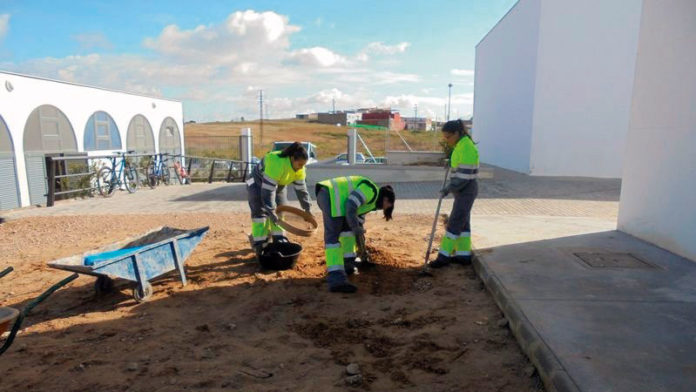 127_secciones_sexpe Grada 127. Sexpe