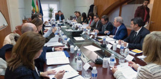 El Patronato de la Fundación Yuste aprueba su plan de actuación para 2019. Grada 130