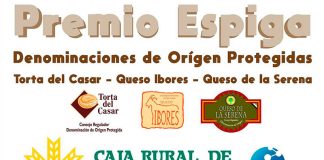 El 70% de las queserías de Denominaciones de Origen participan en los Premios Espiga del Queso
