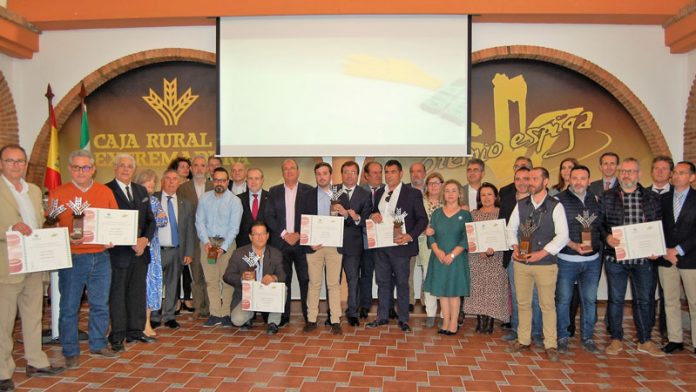 Caja Rural de Extremadura entrega los premios Espiga de quesos con denominación de origen