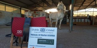Doble Cristal y la Diputación de Badajoz promueven las terapias ecuestres