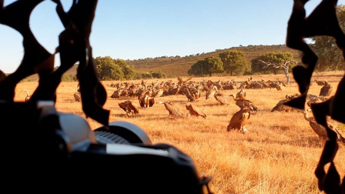 Ocho blogueros y fotógrafos especializados viajan por la provincia de Cáceres para conocer el Tajo Internacional