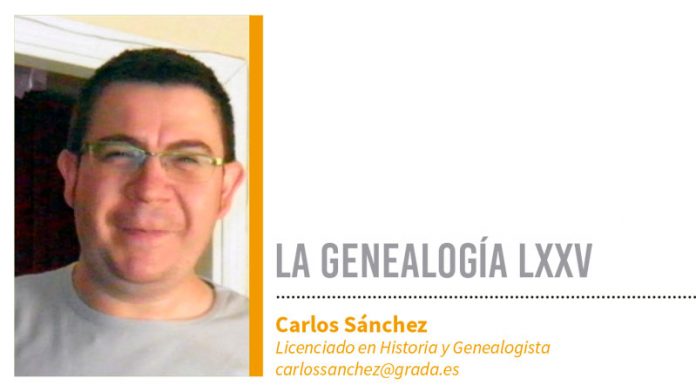 Genealogía LXXV. Grada 137