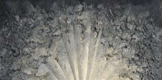 ‘The Rose’, de Jay DeFeo. Grada 137. Arte