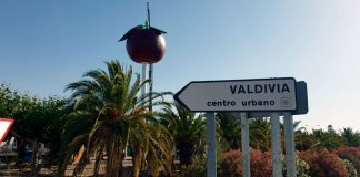 La Diputación de Badajoz instala el icono representativo de la ciruela en Valdivia. Grada 137. Diputación de Badajoz