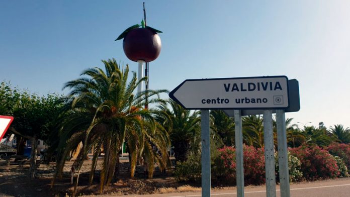 La Diputación de Badajoz instala el icono representativo de la ciruela en Valdivia. Grada 137. Diputación de Badajoz