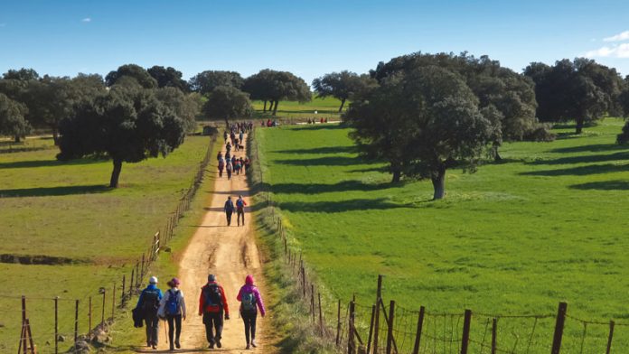 La Diputación de Cáceres desarrolla un proyecto de promoción de la Vía de la Estrella. Grada 137