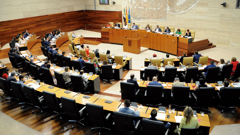 La Ley del Voluntariado es aprobada por unanimidad. Grada 138. Asamblea de Extremadura