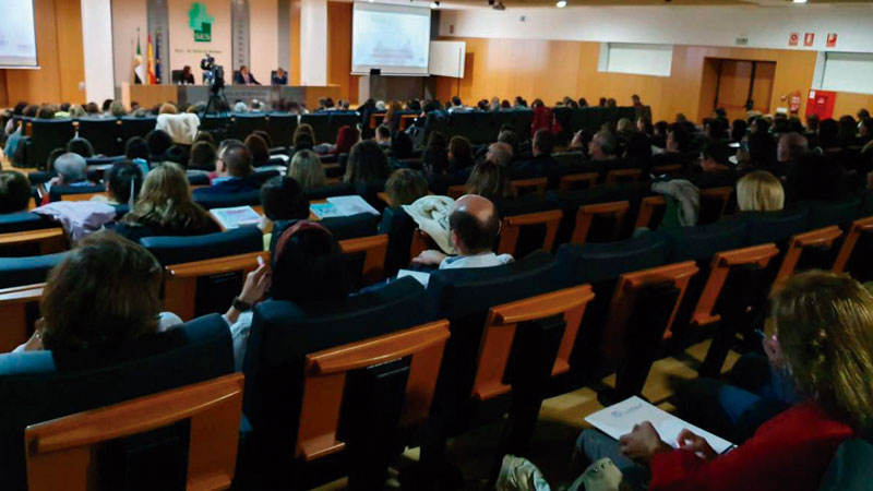 La II Jornada de Salud Mental aborda la atención a la infancia y adolescencia. Grada 140. Sepad