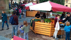 El proyecto 'Escuela Rural' de Fundación Oxígeno ha contado con 88 participantes en Cáceres