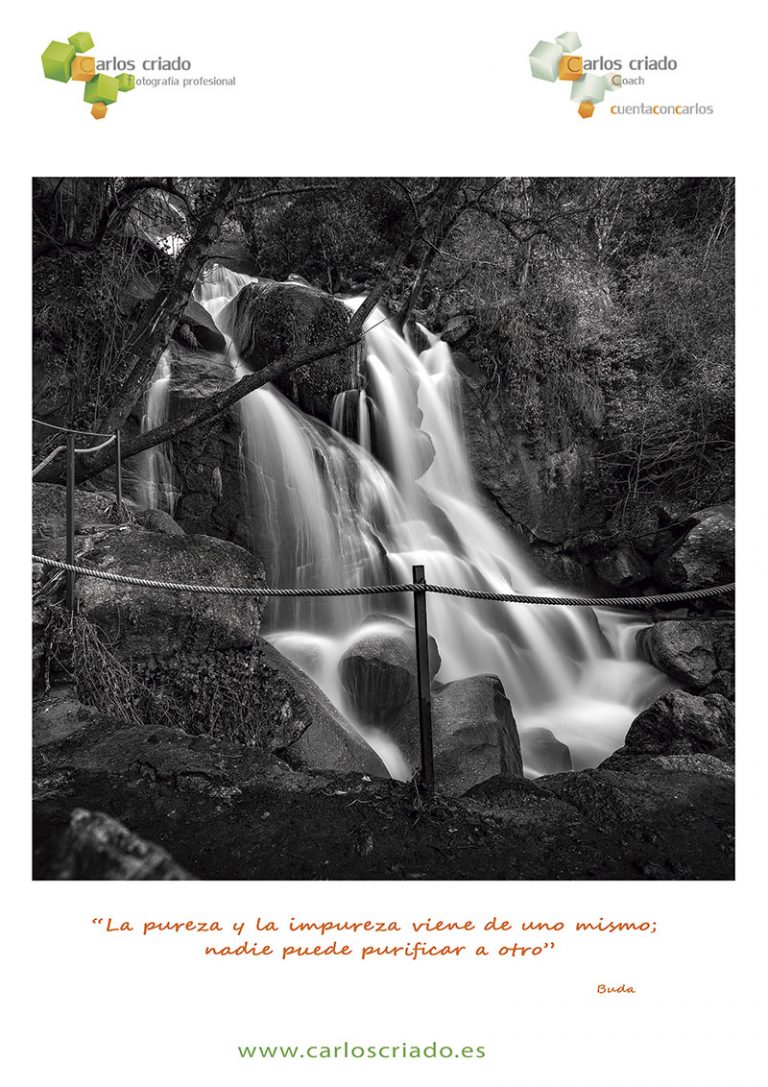 Grada 142. Carlos Criado