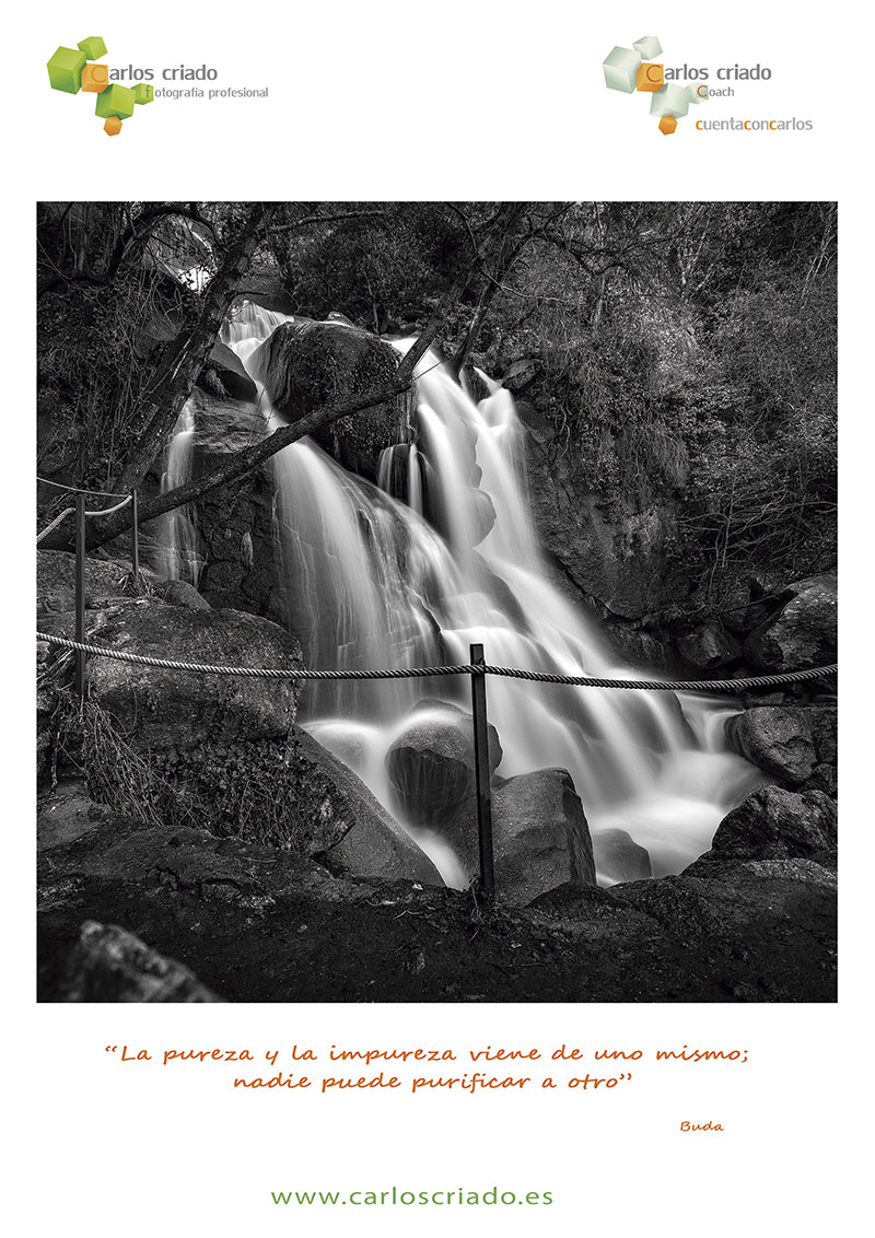 Grada 142. Carlos Criado