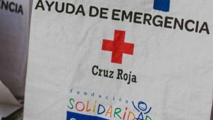 Cruz Roja y Fundación Carrefour atienden a más de 6.000 personas en situación de vulnerabilidad