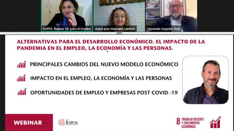 Participantes en el webinar de Aupex