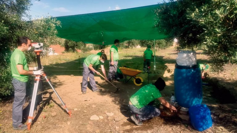 Las escuelas profesionales de Extremadura reanudan su actividad presencial. Grada 147. Sexpe