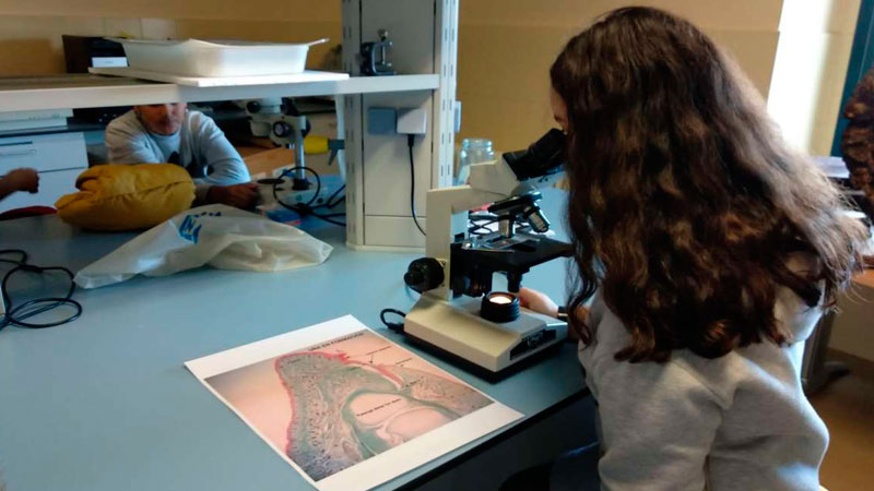 La IV Semana de la Ciencia y la Tecnología en Extremadura contará con ...