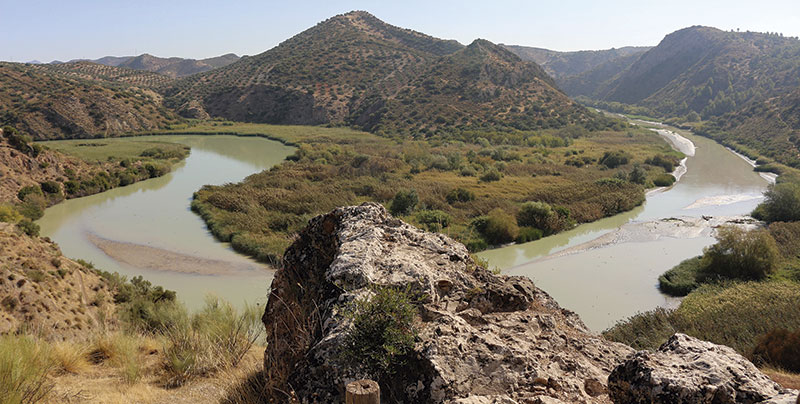 Meandro del rio Genil. Foto: Juan Antonio Narro