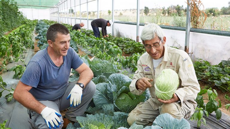 El programa de ayudas a iniciativas sociales de La Caixa impulsó tres proyectos en Cáceres en 2020