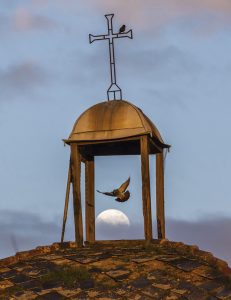 'La paloma y la luna a través de un viejo campanario'. Grada 155. Fotografía