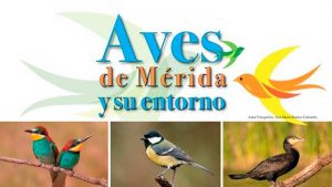 Comienzan las actividades del 'Mes de las aves' en Mérida