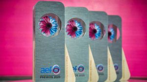La Asociación Española de Fundaciones convoca los VI Premios AEF