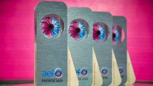 La Asociación Española de Fundaciones convoca los VI Premios AEF