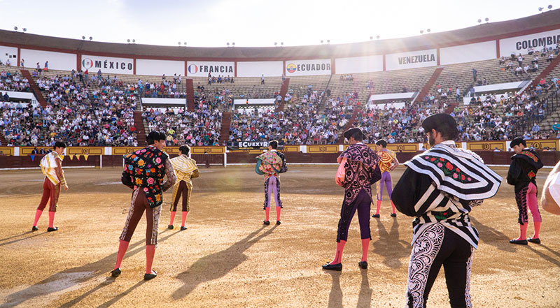 Clase práctica en la plaza de toros de Badajoz. Foto: David Rebolledo