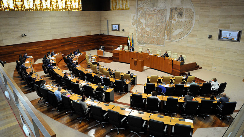 La Asamblea de Extremadura aprueba varias propuestas del Cermi sobre mujeres con discapacidad