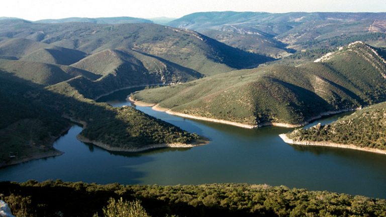 Reserva de la Biosfera de Monfragüe. Grada 158. Diputación de Cáceres