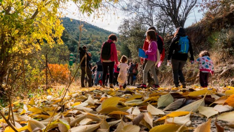 La Diputación de Cáceres subvencionará actividades culturales, turísticas, deportivas, educativas y medioambientales