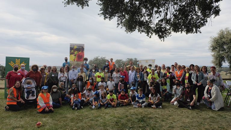 Las piezas clave. Grada 161. ADMO