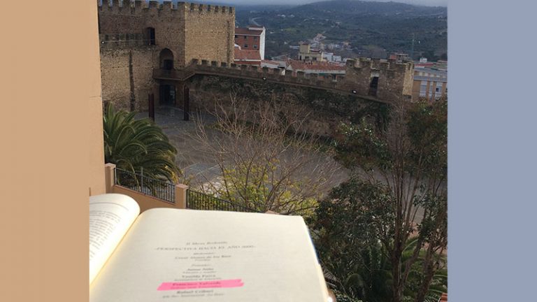 Desde la Torre Lucía. Grada 163. Paco Valverde