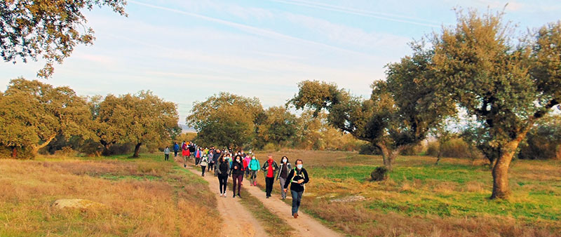 Participantes en una ruta senderista. Foto: Ayuntamiento de Cáceres