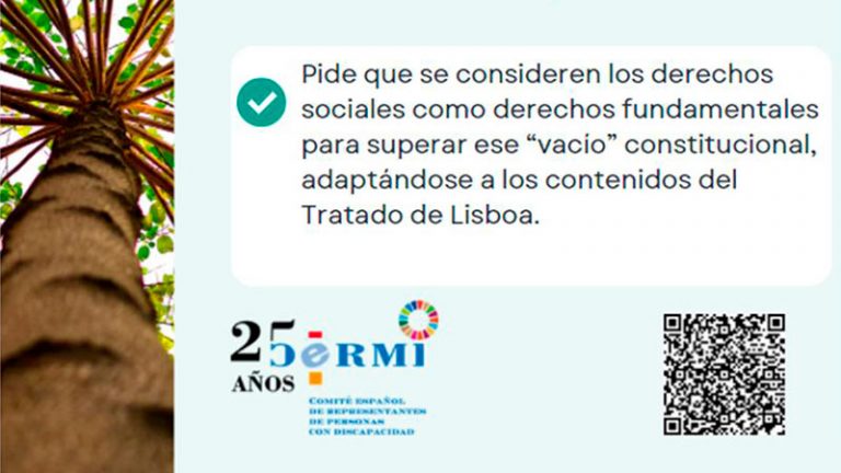 El Cermi defiende que se promulgue una ley estatal para garantizar los derechos y los servicios sociales