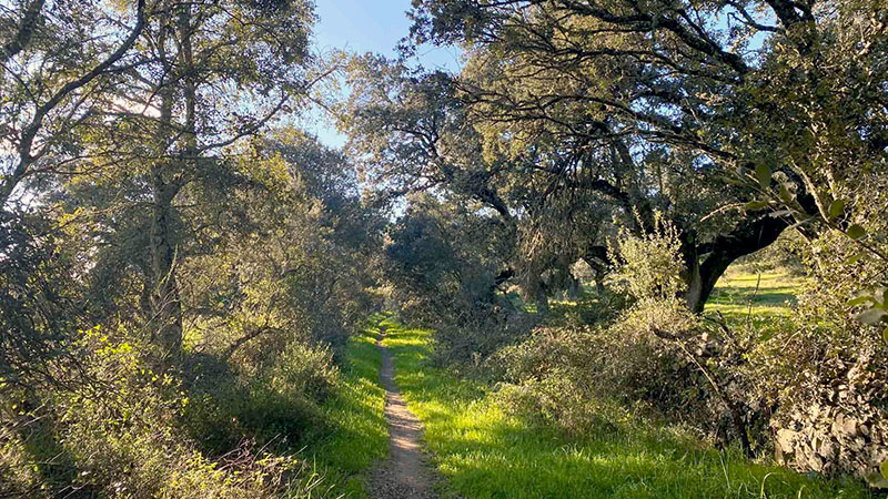 Ruta La Vaquilla, en Jerez de los Caballeros. Foto: Cedida