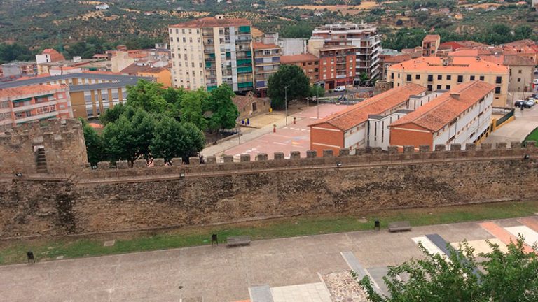 50 más tres años de la puesta en funcionamiento del colegio público Alfonso VIII de Plasencia. Grada 169. Paco Valverde