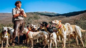 La Junta de Extremadura declara Bien de Interés Cultural la montería y la rehala