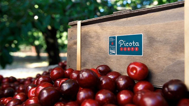 Cereza del Jerte, más de 4 millones de kilos de certificadas