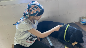 Perros guía ONCE Alba