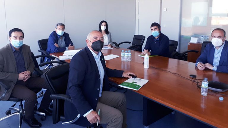 Cermi Extremadura rechaza el anteproyecto de Ley de incentivos a la contratación promovido por el Gobierno central