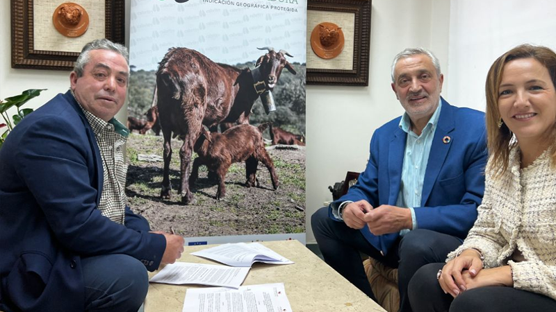 La Diputación de Cáceres firma un convenio de colaboración con la recién estrenada IGP Cabrito de Extremadura