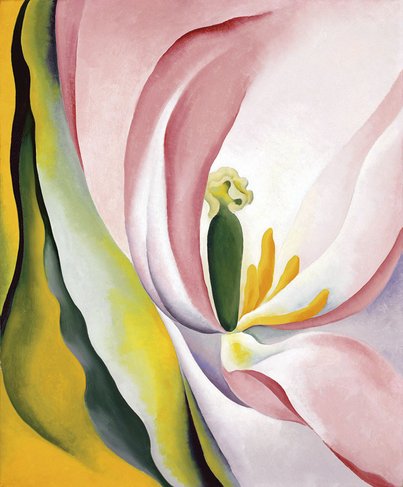 ‘Pink Tulip’, de Georgia O’Keeffe. Grada 175. Inmaculada González