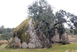 Peñas sacras de Extremadura. El altar rupestre de Lácara. Grada 176. Julio Esteban Ortega