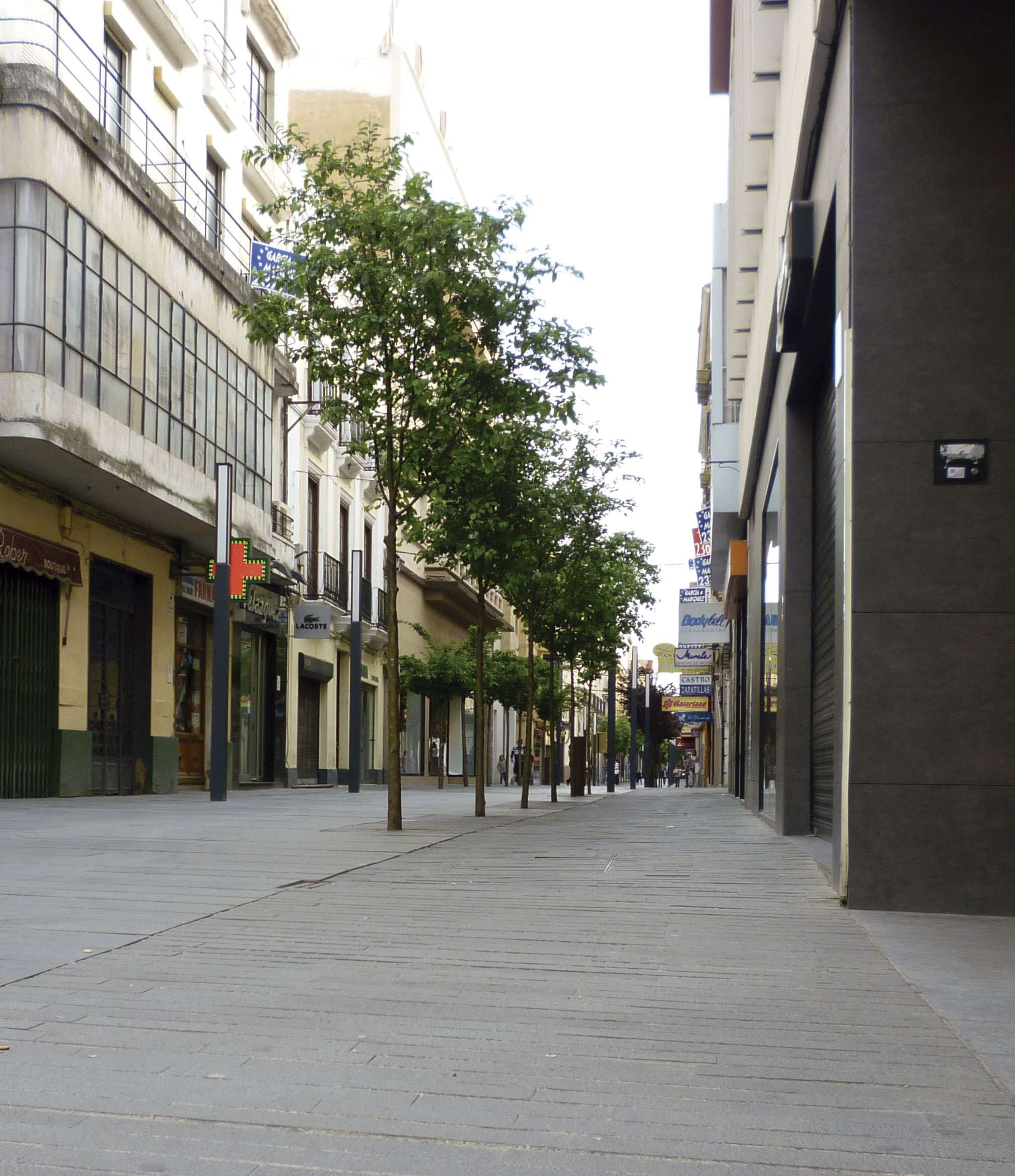 Observatorio de la sostenibilidad y la accesibilidad en la vivienda de Extremadura. Cámara de Comercio de Badajoz. Grada 177