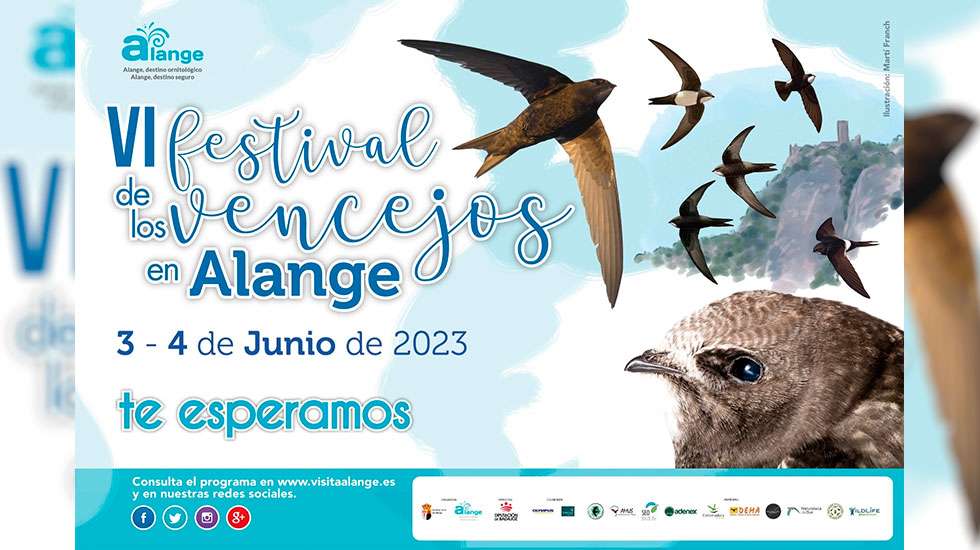 Festival de los vencejos 2023 en Alange